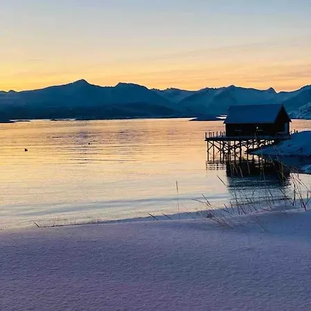 With Sauna In The Arctic Caribbean,