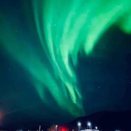 With Sauna In The Arctic Caribbean, Vila