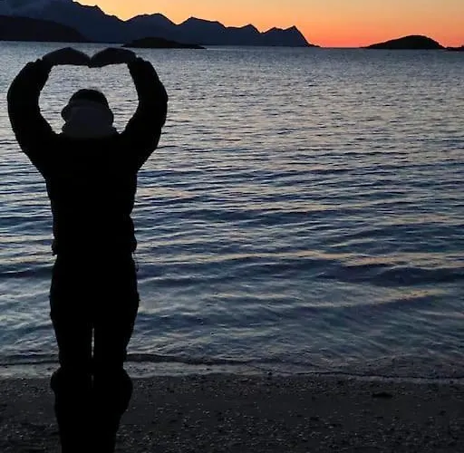 With Sauna In The Arctic Caribbean, * Tromsø